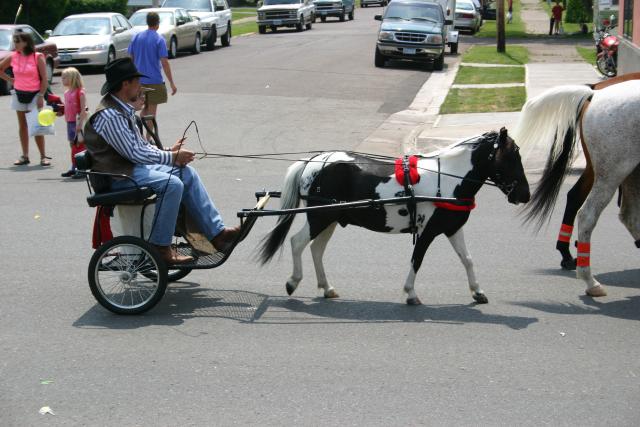 Man in mini carriage driven by pony in parade