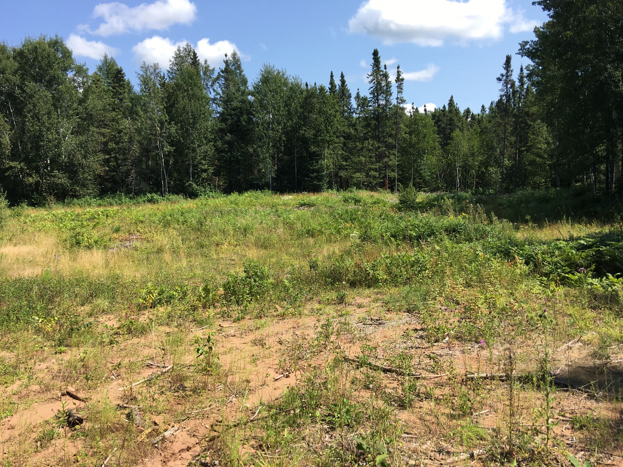 T48_R18_S13_Landing_3643