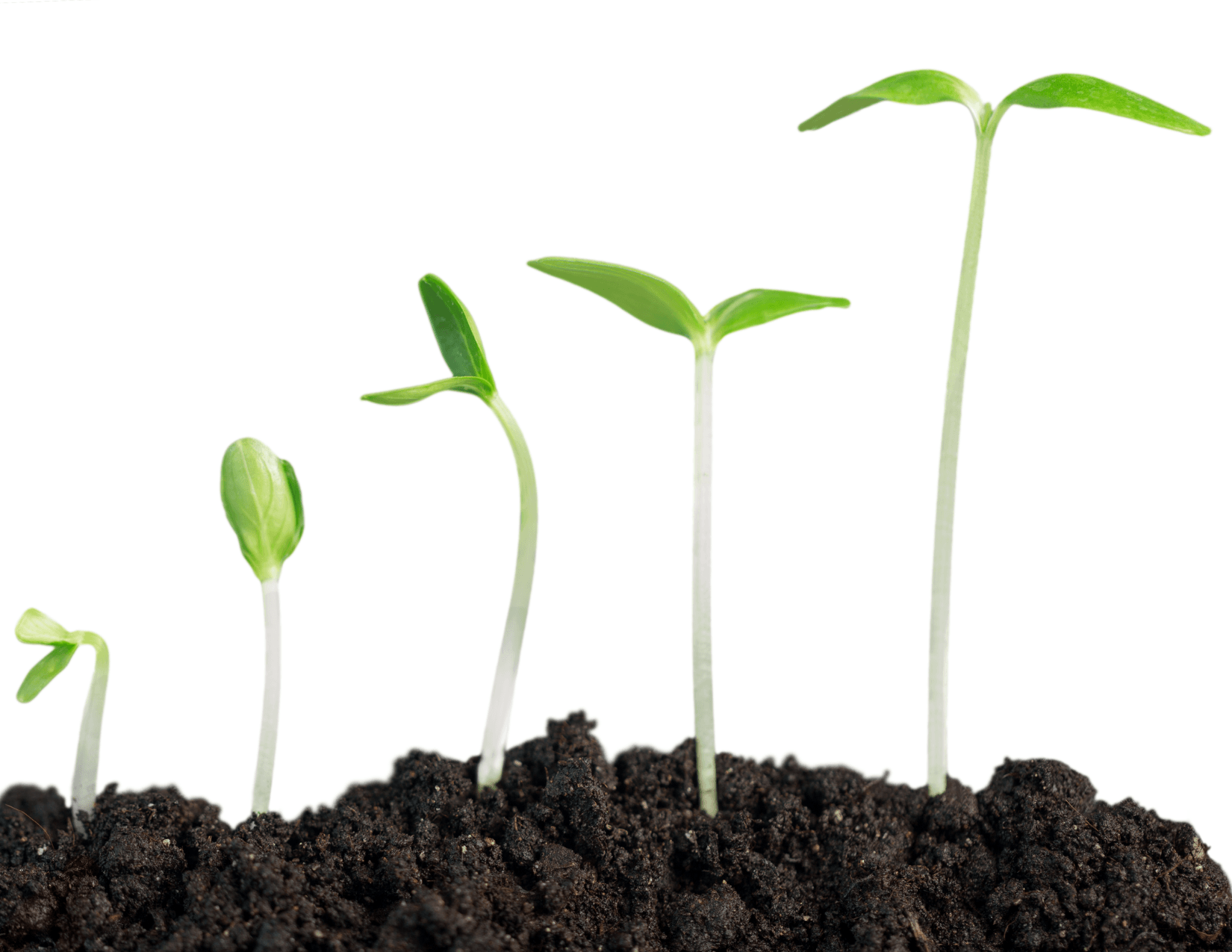 opportunities to grow